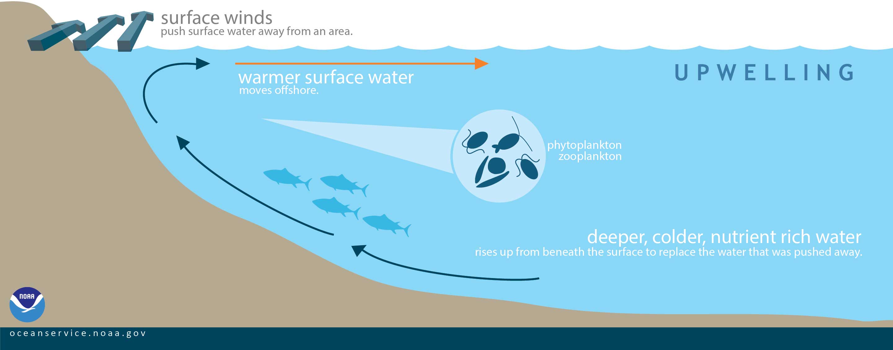 upwelling explanation by NOAA